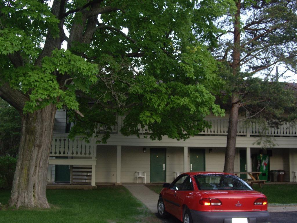 Parkwood Lodge Fish Creek Extérieur photo